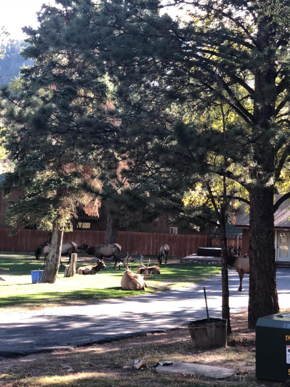 Riverview Pines Villa Estes Park Exterior foto