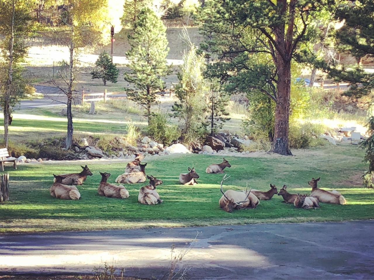 Riverview Pines Villa Estes Park Exterior foto